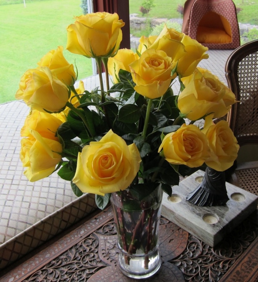 yellow-roses